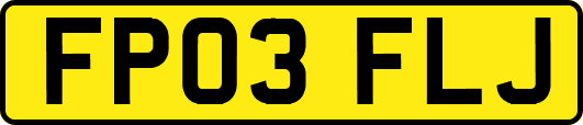 FP03FLJ