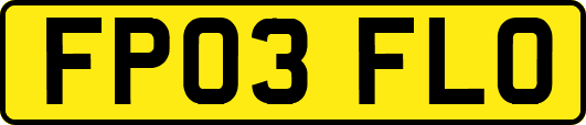 FP03FLO