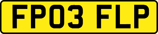 FP03FLP