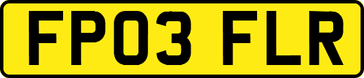 FP03FLR