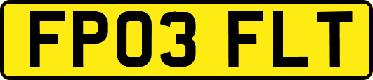 FP03FLT