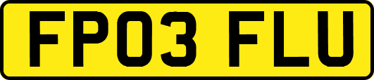 FP03FLU
