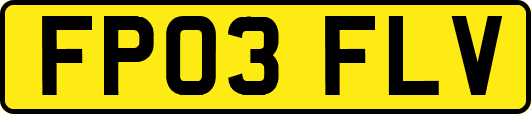 FP03FLV