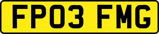 FP03FMG