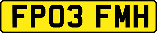 FP03FMH