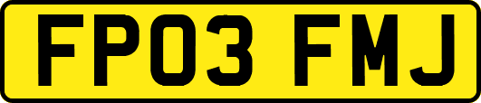 FP03FMJ