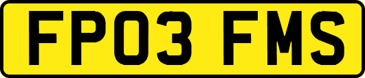 FP03FMS