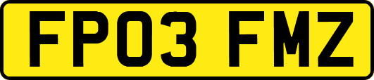 FP03FMZ