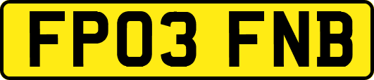 FP03FNB