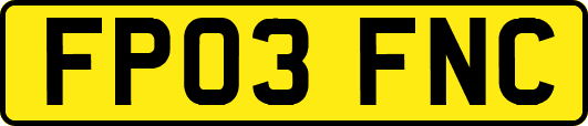 FP03FNC
