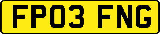FP03FNG