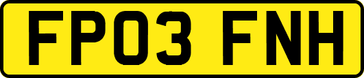 FP03FNH