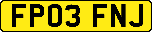 FP03FNJ