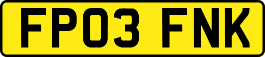 FP03FNK