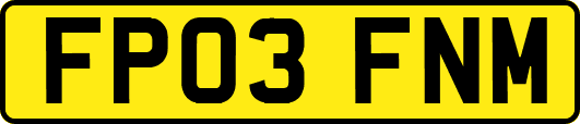 FP03FNM