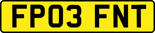 FP03FNT