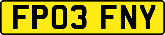 FP03FNY