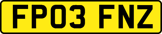 FP03FNZ
