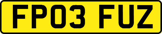 FP03FUZ