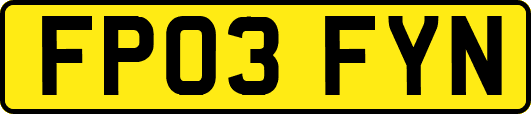 FP03FYN