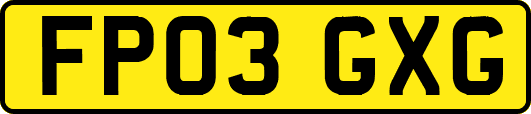 FP03GXG