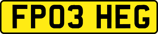 FP03HEG