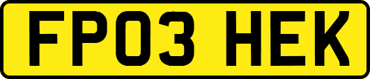 FP03HEK
