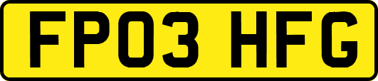 FP03HFG