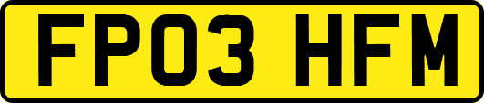 FP03HFM