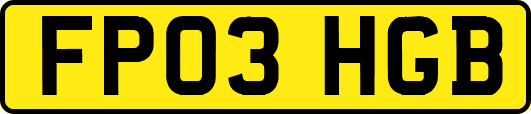 FP03HGB