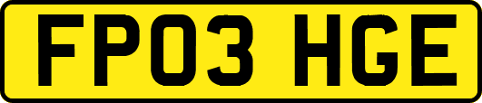 FP03HGE