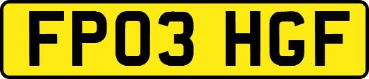 FP03HGF
