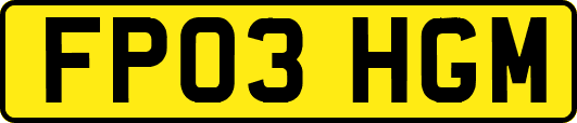 FP03HGM