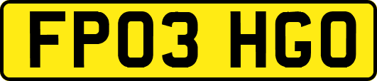 FP03HGO