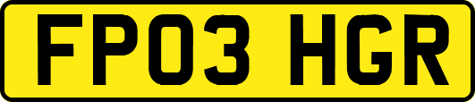 FP03HGR