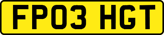 FP03HGT