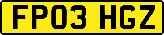FP03HGZ