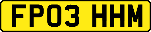 FP03HHM