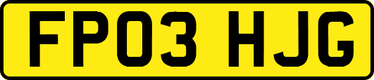 FP03HJG