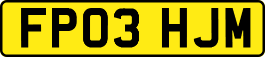 FP03HJM