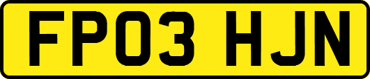 FP03HJN