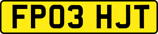 FP03HJT