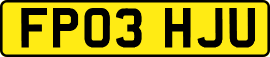 FP03HJU