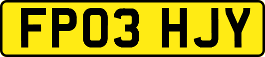 FP03HJY