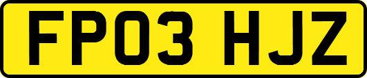FP03HJZ