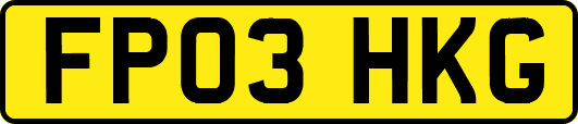 FP03HKG