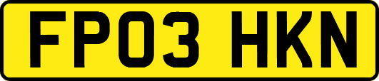 FP03HKN