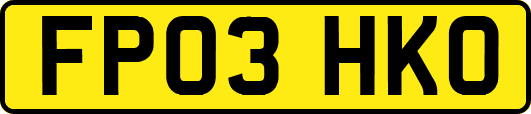 FP03HKO