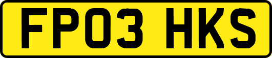 FP03HKS