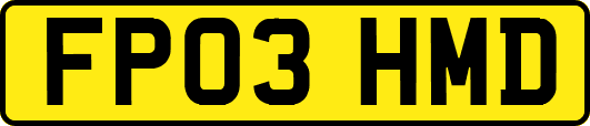 FP03HMD